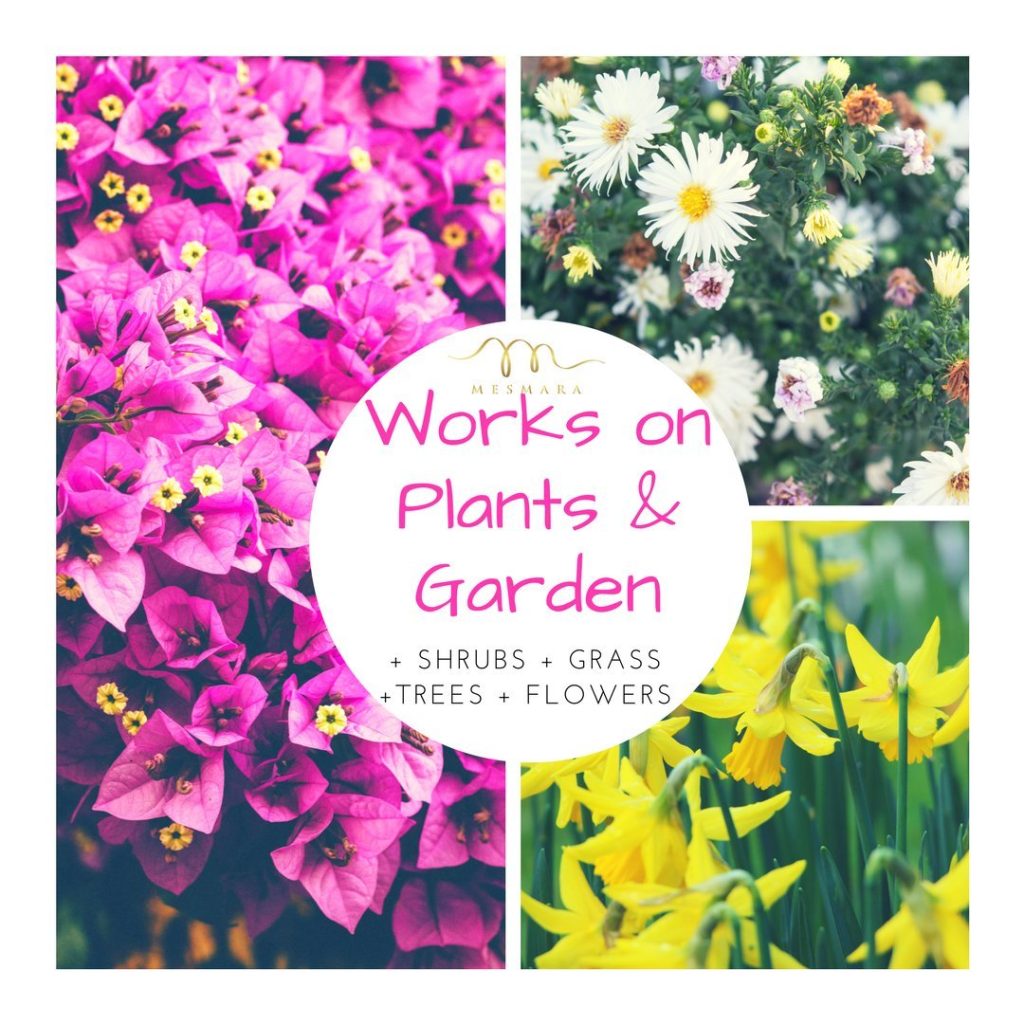 Mesmara Epsom Salt (Magnesium Sulphate) For Relaxation Muscle Relief, Relives Aches &amp; Pain