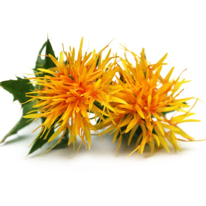 safflower_700x.jpg